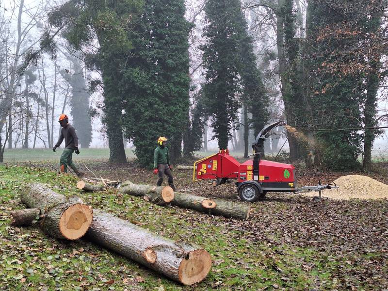 L'équipe de Créa-Paysages en train de débiter des arbres récemment abattus à Palaiseau dans l'Essonne