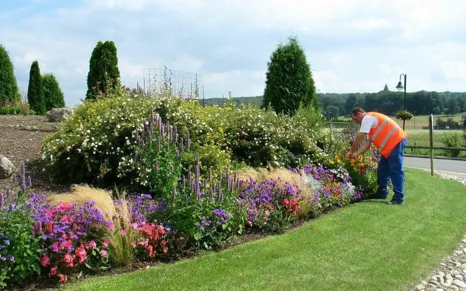 plantation arbres massifs Saclay crea paysages