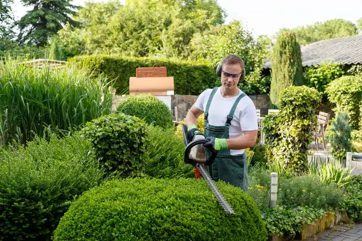 paysagiste entrain de tailler une haie crea-paysages