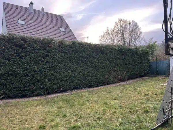 Chantier de taille de haie à La Ville-du-Bois en décembre 2025